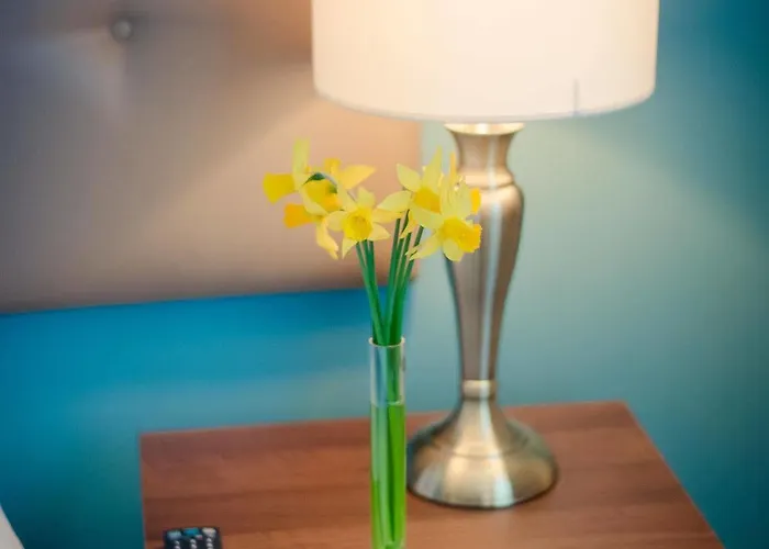 Imi Sandyford Guest house